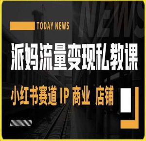 派妈流量变现私教课，小红书赛道IP  商业  店铺 -水滴知识网