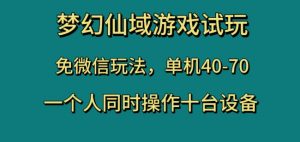 梦幻仙域游戏试玩，免微信玩法，单机40-70，一个人同时操作十台设备【揭秘】-水滴知识网
