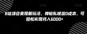 B站项目变现新玩法,神贴私域流0成本,可轻松实现月入6000+【揭秘】-水滴知识网
