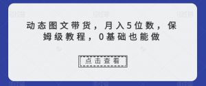 动态图文带货，月入5位数，保姆级教程，0基础也能做【揭秘】-水滴知识网