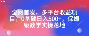 全网首发,多平台收益项目,0基础日入500+,保姆级教学实操落地【揭秘】-水滴知识网