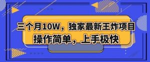 三个月10W，独家最新王炸项目！操作简单，上手极快【揭秘】-水滴知识网