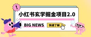 小红书玄学掘金项目,值得常驻的蓝海项目,日入3000+附带引流方法以及渠道【揭秘】-水滴知识网