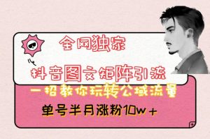 全网独家抖音图文矩阵引流,一招教你玩转公域流量,单号半月涨粉10w+【揭秘】-水滴知识网