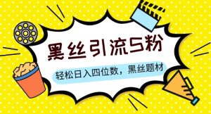 S粉变现,轻松日入四位数,黑丝题材+情感话术【揭秘】-水滴知识网