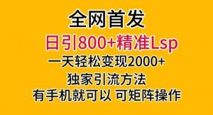 全网首发!日引800+精准老色批,一天变现2000+,独家引流方法,可矩阵操作【揭秘】-水滴知识网