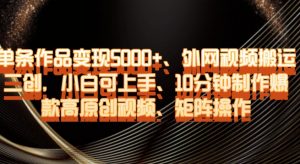单条作品变现5000+、外网视频搬运二创，小白可上手，10分钟制作爆款高原创视频，矩阵操作【揭秘】-水滴知识网