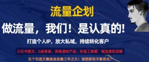 流量企划,打造个人IP,放大私域,持续转化客户【揭秘】-水滴知识网