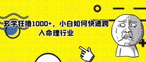 玄学狂撸1000+，小白如何快速跨入命理行业【揭秘】-水滴知识网