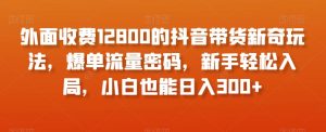 外面收费12800的抖音带货新奇玩法，爆单流量密码，新手轻松入局，小白也能日入300+【揭秘】-水滴知识网