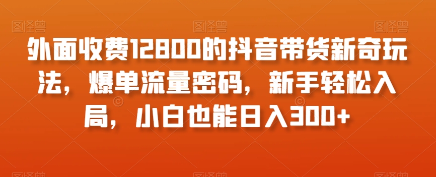外面收费12800的抖音带货新奇玩法,爆单流量密码,新手轻松入局,小白也能日入300+【揭秘】-水滴知识网