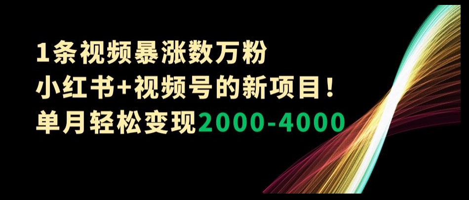 1条视频暴涨数万粉–小红书+视频号的新项目!单月轻松变现2000-4000【揭秘】-水滴知识网