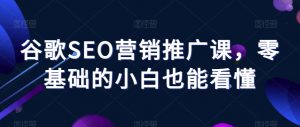 谷歌SEO营销推广课,零基础的小白也能看懂-水滴知识网