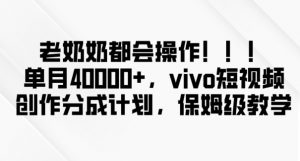 老奶奶都会操作，新平台无脑操作，单月40000+，vivo短视频创作分成计划【揭秘】-水滴知识网