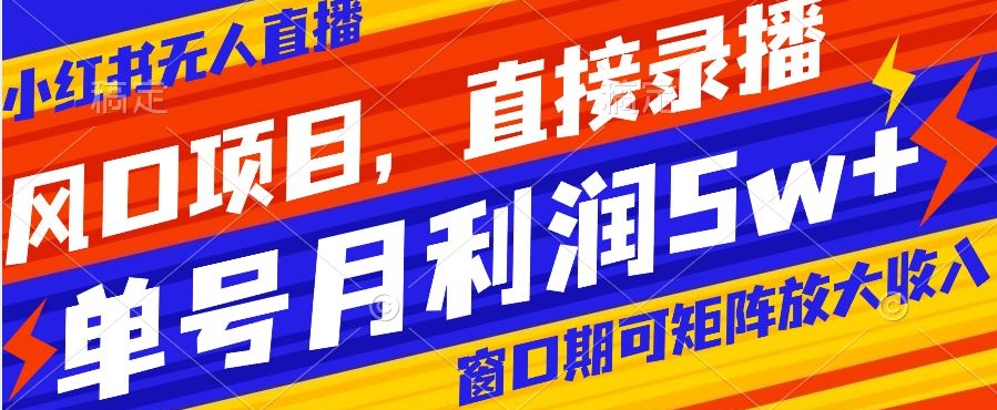 风口项目,小红书无人直播带货,直接录播,可矩阵,月入5w+【揭秘】-水滴知识网