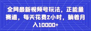 全网最新视频号玩法，正能量赛道，每天花费2小时，躺着月入10000+【揭秘】-水滴知识网