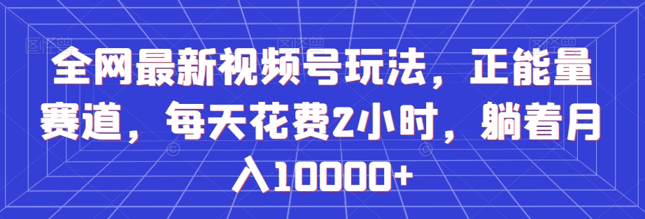 全网最新视频号玩法，正能量赛道，每天花费2小时，躺着月入10000+【揭秘】-水滴知识网