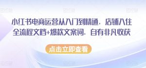 小红书电商运营从入门到精通,店铺入住全流程文档+爆款文案词,自有非凡收获-水滴知识网