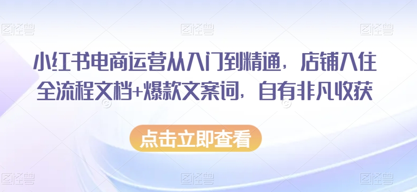 小红书电商运营从入门到精通,店铺入住全流程文档+爆款文案词,自有非凡收获-水滴知识网
