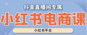 小红书电商高级运营课程,实操教学+案例分析-水滴知识网