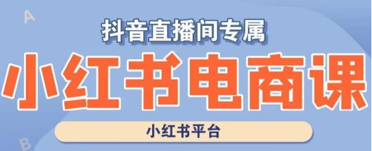 小红书电商高级运营课程,实操教学+案例分析-水滴知识网