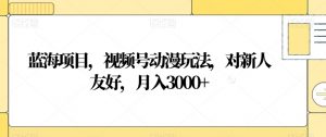 蓝海项目，视频号动漫玩法，对新人友好，月入3000+【揭秘】-水滴知识网
