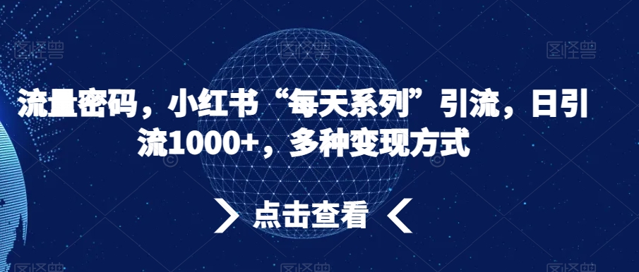 流量密码,小红书“每天系列”引流,日引流1000+,多种变现方式【揭秘】-水滴知识网