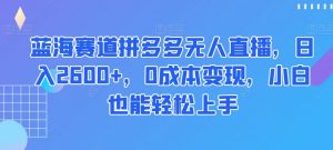 蓝海赛道拼多多无人直播,日入2600+,0成本变现,小白也能轻松上手【揭秘】-水滴知识网