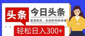 AI头条传统和农谚领域，蓝海类目，搬运+AI优化，轻松日入300+【揭秘】-水滴知识网