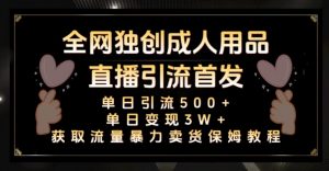 全网独创真人主播+无人直播单日引流500+，橙人用品暴力卖货单日变现3W+保姆似教学2.0【揭秘】-水滴知识网