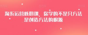 淘系运营核心课,你学的不是只方法是创造方法的根源-水滴知识网