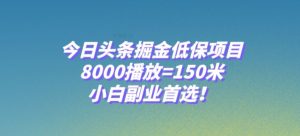 今日头条掘金低保项目，8000播放=150米，小白副业首选【揭秘】-水滴知识网