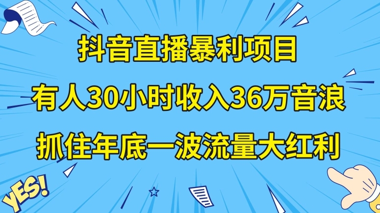 抖音直播暴利项目,有人30小时收入36万音浪,公司宣传片年会视频制作,抓住年底一波流量大红利【揭秘】-水滴知识网