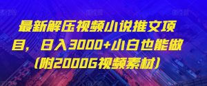 最新解压视频小说推文项目，日入3000+小白也能做（附2000G视频素材）【揭秘】-水滴知识网
