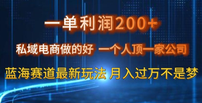 一单利润200私域电商做的好，一个人顶一家公司蓝海赛道最新玩法【揭秘】-水滴知识网