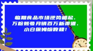 临期食品市场逆势崛起，万粉账号月销百万新渠道，小白保姆级教程【揭秘】-水滴知识网