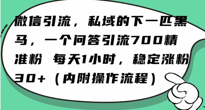 怎么搞精准创业粉？微信新赛道，每天一小时，利用Ai一个问答日引100精准粉-水滴知识网