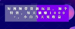 短视频带货新玩法，加个特效，每天躺赚1000+，小白当天见收益【揭秘】-水滴知识网