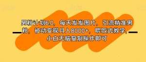 男粉计划6.0,每天发发图片,引流精准男粉,被动变现月入8000+,喂饭式教学,小白无脑复制操作即可-水滴知识网
