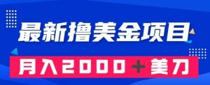 最新撸美金项目:搬运国内小说爽文,只需复制粘贴,月入2000+美金【揭秘】-水滴知识网