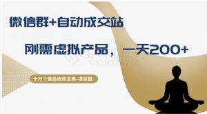 十万个富翁修炼宝典之8.微信群+自动成交站,刚需虚拟产品,一天200+-水滴知识网