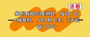暴利看相命理测算，每日100+精准粉，小白易上手，3天收益1000+【揭秘】-水滴知识网