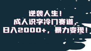 逆袭人生！成人识字冷门赛道，日入2000+，暴力变现！【揭秘】-水滴知识网