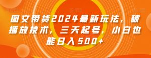 图文带货2024最新玩法，破播放技术，三天起号，小白也能日入500+【揭秘】-水滴知识网