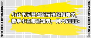 小红书运营创新玩法保姆教学,新手小白都能玩转,月入6000+【揭秘】-水滴知识网