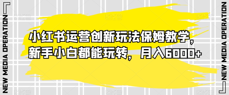 小红书运营创新玩法保姆教学,新手小白都能玩转,月入6000+【揭秘】-水滴知识网