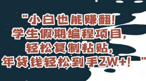 小白也能赚翻！学生假期编程项目，轻松复制粘贴，年货钱轻松到手2W+【揭秘】-水滴知识网