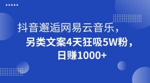 抖音邂逅网易云音乐，另类文案4天狂吸5W粉，日赚1000+【揭秘】-水滴知识网