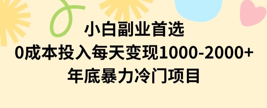 小白副业首选，0成本投入，每天变现1000-2000年底暴力冷门项目【揭秘】-水滴知识网