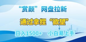 “赏颜”网盘拉新赛道,通过拿捏“欲望”日入1500+,小白易上手【揭秘】-水滴知识网